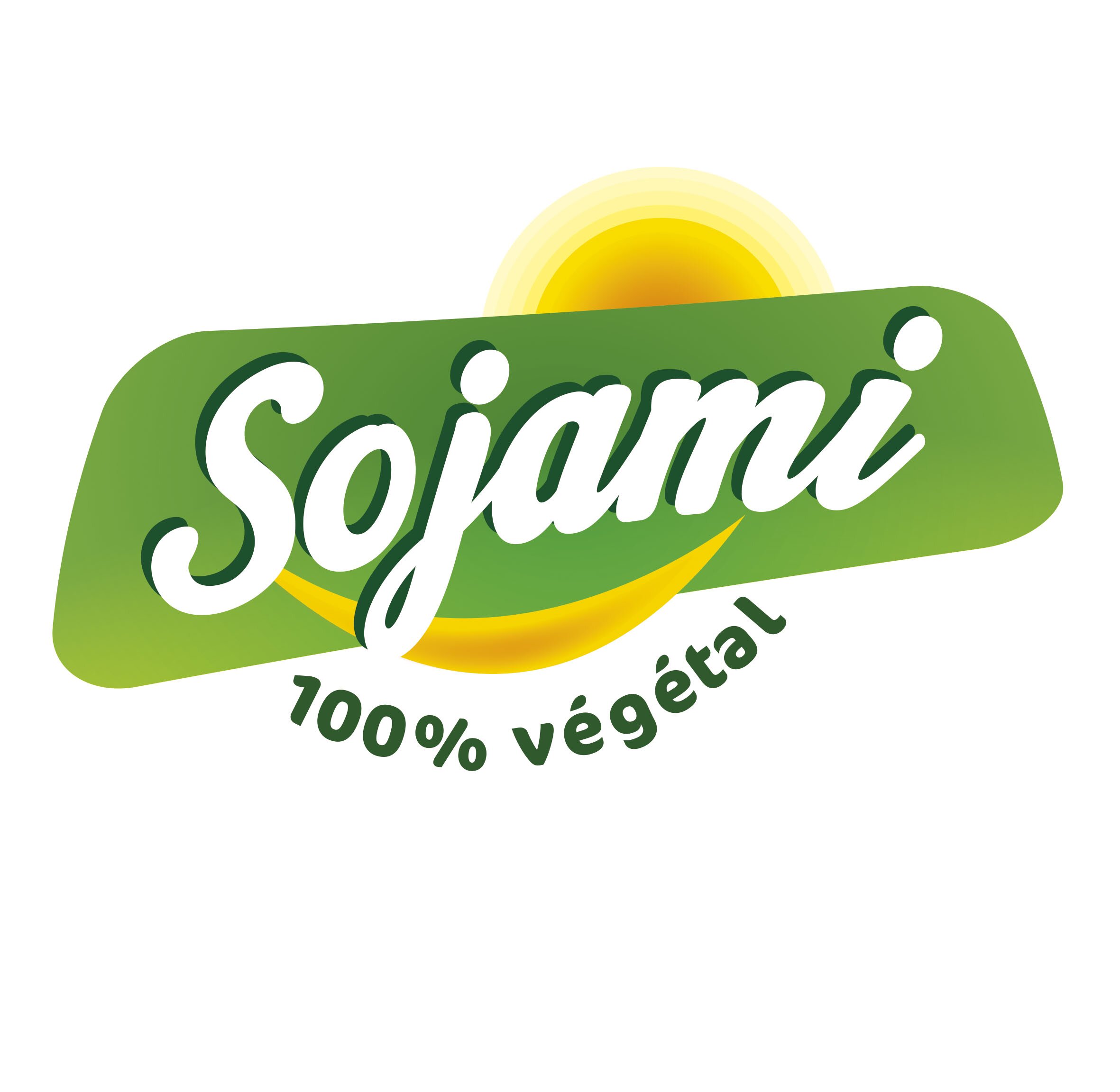 logo LE SOJAMI