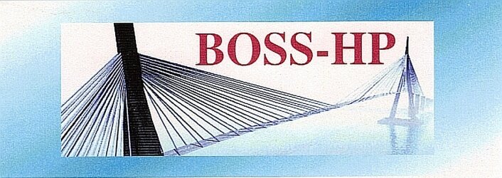 logo BOSS HP