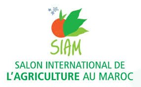 logo SIAM 2013